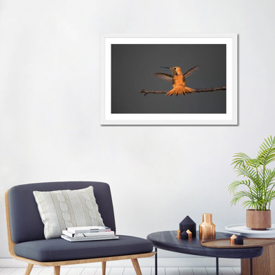 " Rufous Hummingbird " by Larry Ditto
