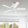 Ajda 44'' Ceiling Fan with Light Kit