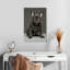 Chiot bouledogue français Brampt-108395264