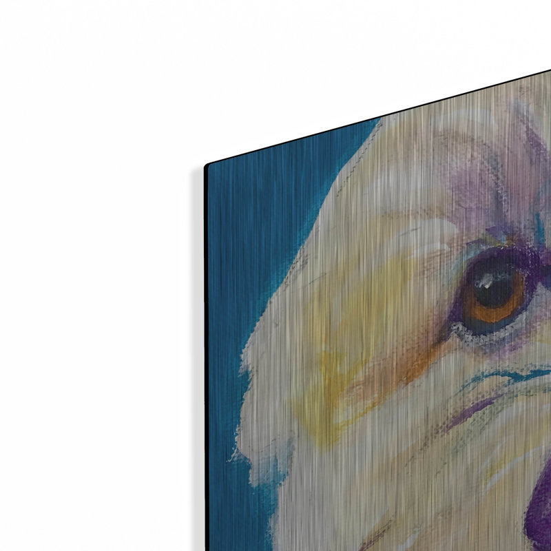 «Doodle - Hank» par Dawg Painter, H 36 po x l 36 po