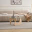 Tables basses en verre Table basse de style campagnard Mid-Century-1742914952-1742914959