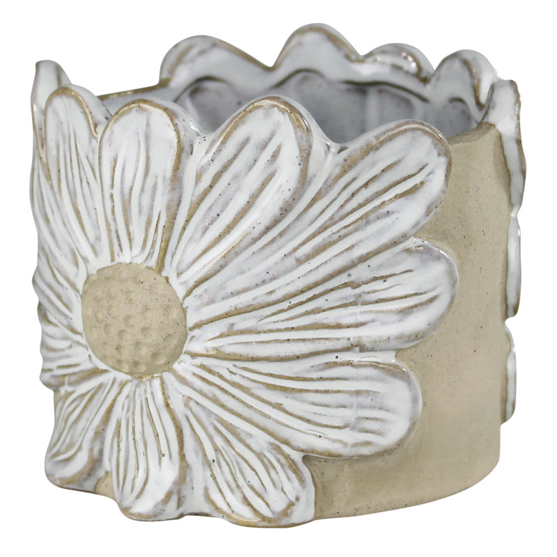  Daisy Flower Cachepot