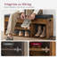 7 Pair Shoe Storage Bench-1600411421