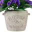 8 plantes