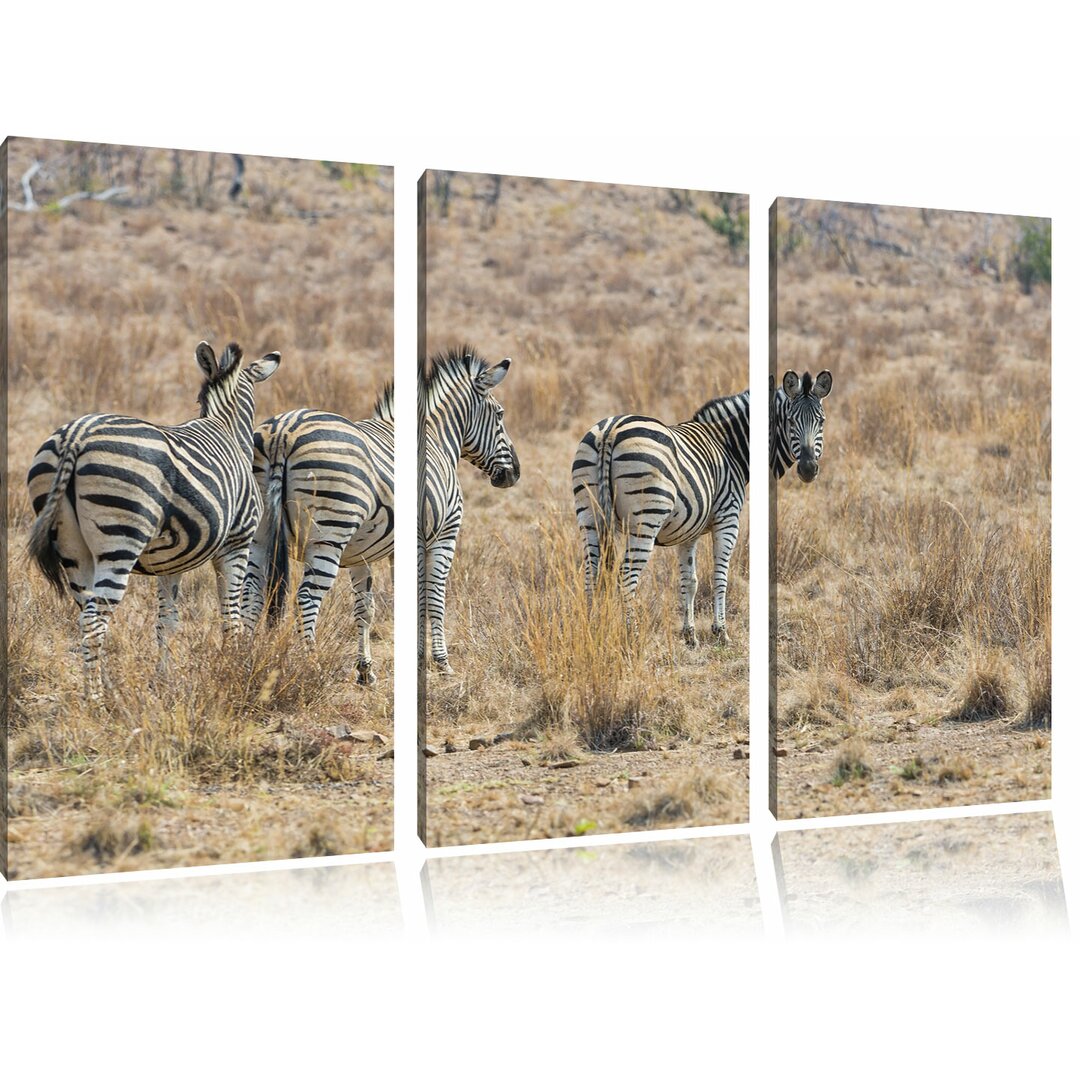 3-tlg. Leinwandbilder-Set „Zebraherde im Wildgras“, Fotodruck