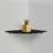 Makah 1 Piece Triangle Glass Corner Shelf-1820219477