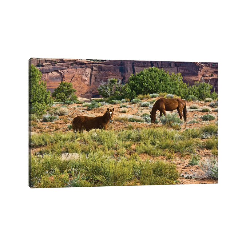 Indian Ponies, Free Range, Canyon De Chelly, National Monument, Chinle, USA by Michel Hersen - Wrapped Canvas Print