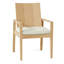 Ashland Patio Dining Armchair with Cushions-749763353-727570218-719472043
