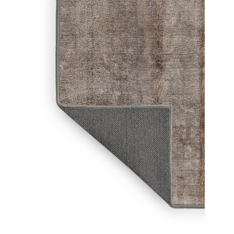 Tapis brun/gris traditionnel McTeer, Rectangle 3 pi x 5 pi