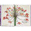 Redouté. The Book of Flowers. 45th Ed.