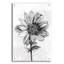 Art mural en verre Spa Botanical-1890461672