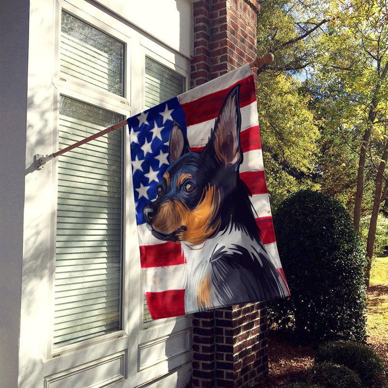 Polyester à 2 côtés 28 x 40 po drapeau maison, Teddy Roosevelt Terrier
