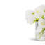 Giverny RealTouch Peony Arrangement-82571159