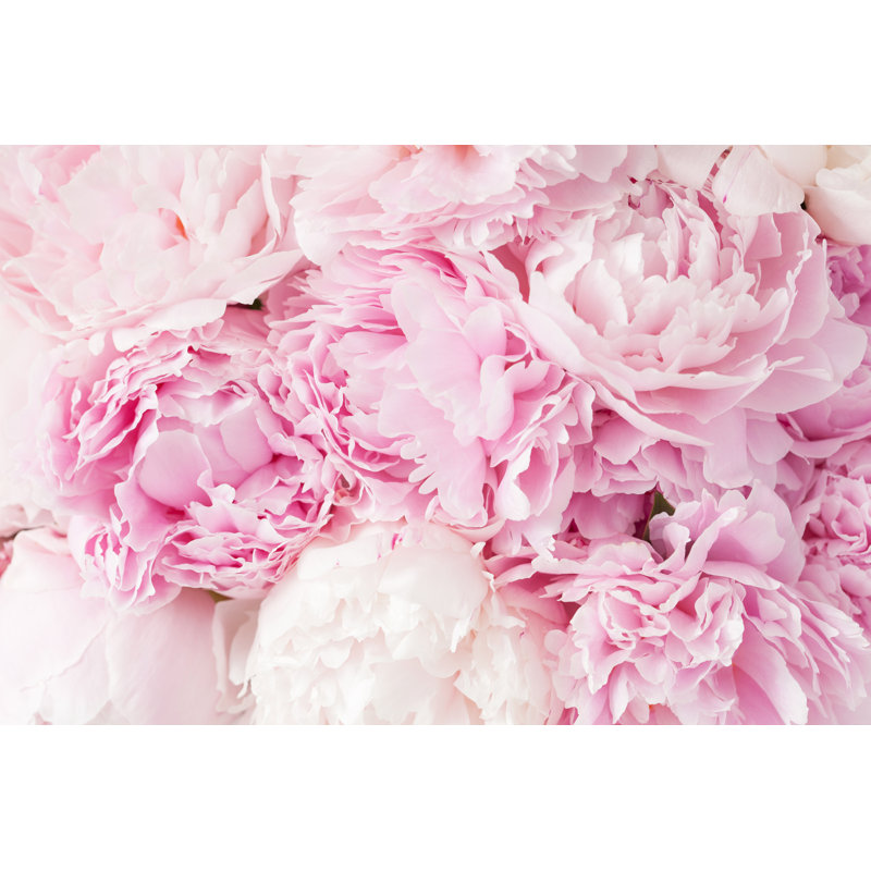 Beautiful Pink Peony Flower Background by Olgamiltsova - Wrapped Canvas Print, 30.48cm H x 45.72cm W