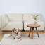 Vacuum Pet Care PAW400