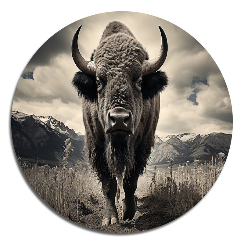 Bison majestueux bison - animaux, art en métal rond, H 16 po x l 16 po