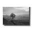  «Morning Haze 2» par Lori Deiter, art mural sur toile-241923821