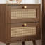 Noemi 2 Drawer Bedside Table-1727118745