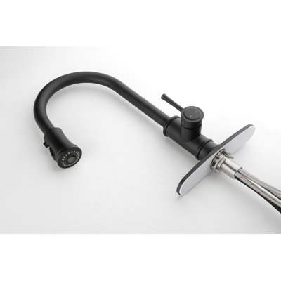 Kitchen Faucet With Pull Out Spraye
