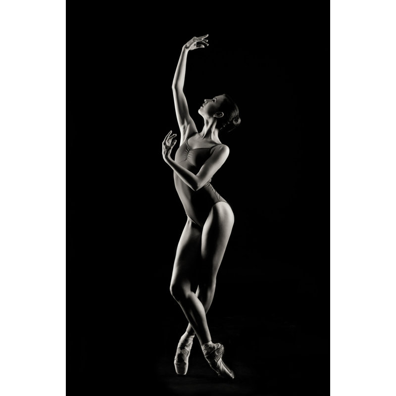Wrapped Canvas Print, 50.8 cm H x 76.2 cm W