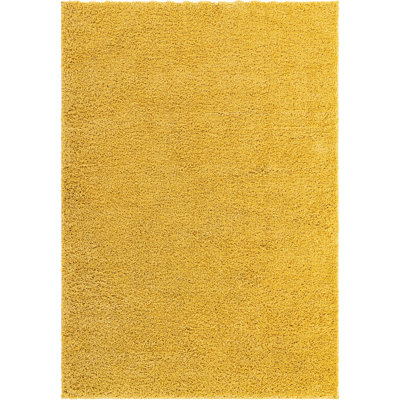 Indoor Rug