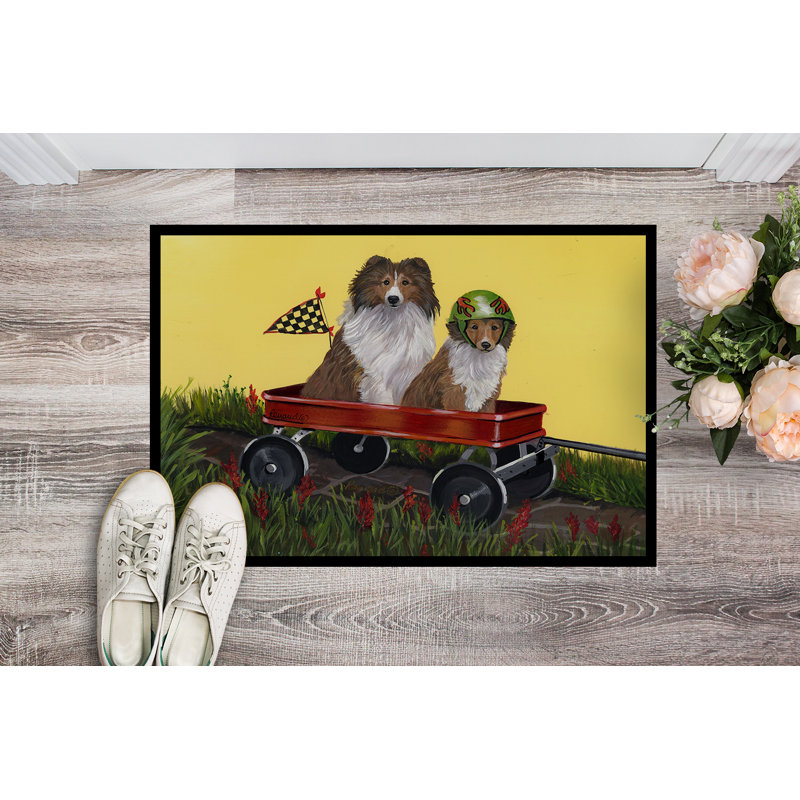 Guerrie Non-Slip Outdoor Doormat, Sheltie Sheepdog Express