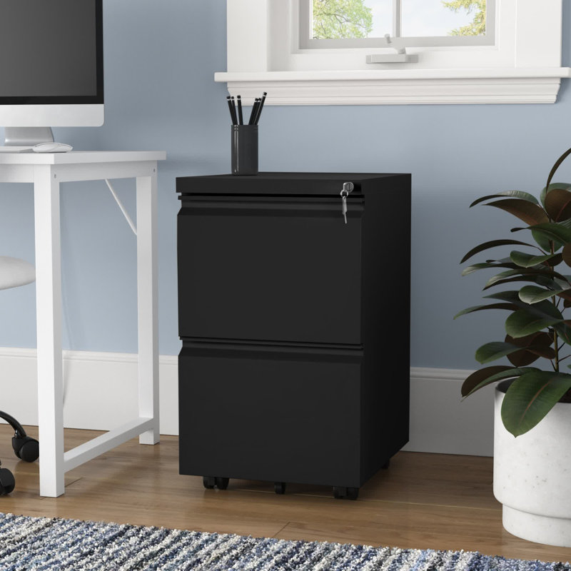 Canesha 39cm W 2-Drawer Office storage unit,Steel Filing Cabinet with 4 Casters, Black