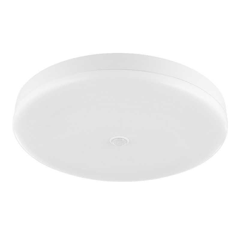 Danyia Silver LED Outdoor Flush Mount