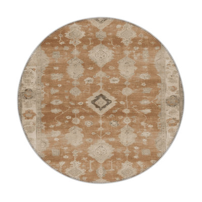 Tapis intérieur et extérieur brun Overdyed