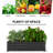 Galvanized Raised Garden Bed
