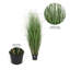 Gazon vert en pot Kellan-22996677