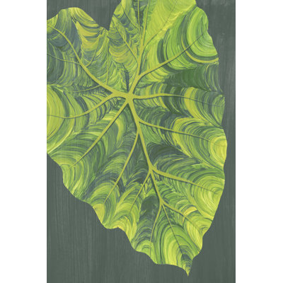 Elephant Ears I by Grace Popp - Painting