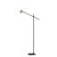 Burruss 160cm LED Task Floor Lamp-368849789