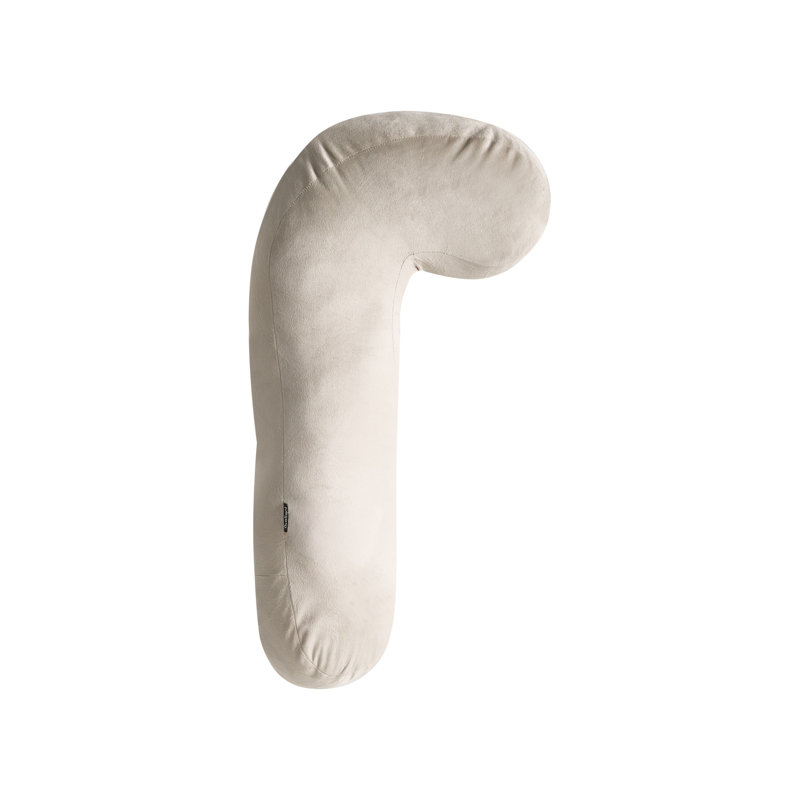 Novelty Cushion