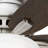Newsome 42" 5 - Blade Traditional Flush Mount Indoor Ceiling Fan with Lights and Pull Chains-56004767