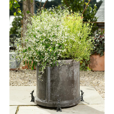 Eleni Weather Resistant Planter Feet