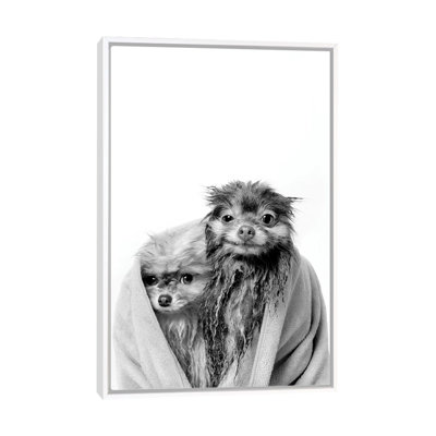 «Wet Dogs, Chelsea and Pancake, Black and White» par Sophie Gamand - reproduction de photo