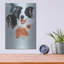 "Boarder Collie" par Barbara Keith-1915160404