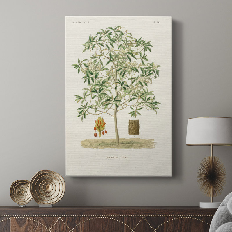 Arbre antique avec fruit VI - galerie Cavas, H 36 po x l 24 po