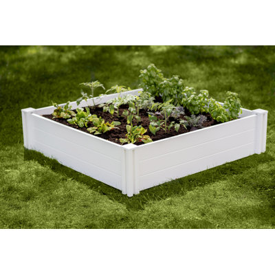 Emme 4 ft x 4 ft Plastic Raised Garden Bed -  Arlmont & Co., 5621C8CDECB848E89D4C6204BAAA5FF1