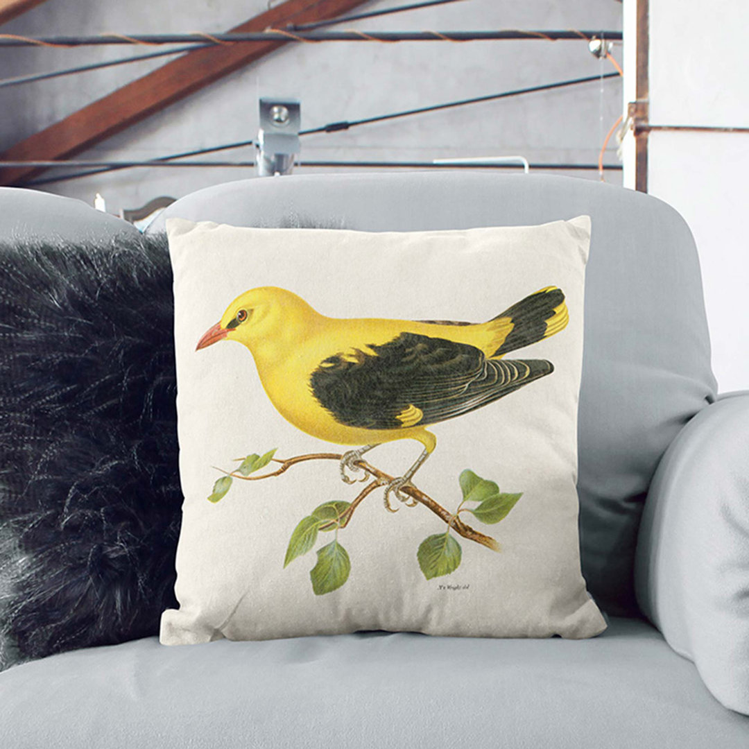 Eurasian Golden Oriole by Von Wright Cushion with Filling