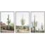 Cactus désert "Southwestern Green Saguaro-91875144-91875145