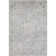 Oriental Indoor Rug