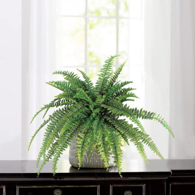 UV Resistant Polyethylene Artificial Fern 