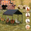 Chicken Coop
