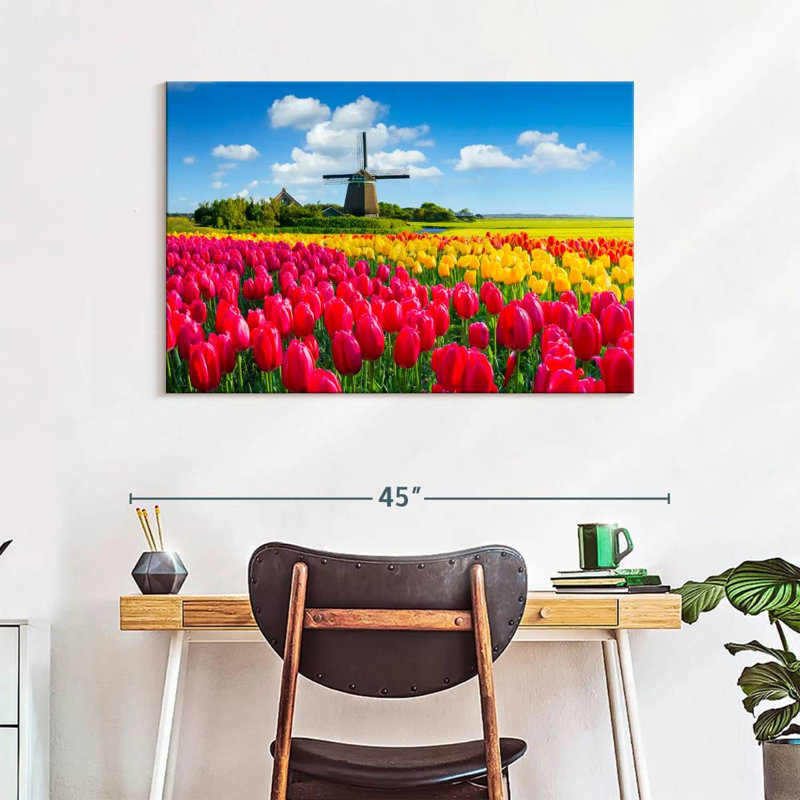Champ de tulipes Alvord Holland, H 26 po x l 39 po