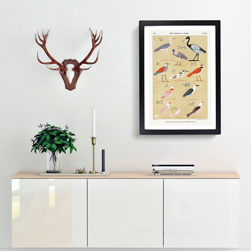 Birds by J.F. Champollion - Picture Frame Painting Print, 65cm H x 48cm W x 2cm D, Black Framed