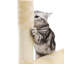 Barnsley 138cm H Cat Tree-30354694