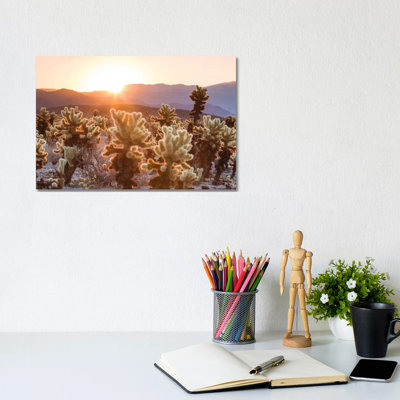 Cactus Garden, Joshua Tree National Park, California, USA 1 Piece Wrapped Canvas Wall Art