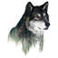 « loup i », impression sur toile-21402865-74640874-74640875